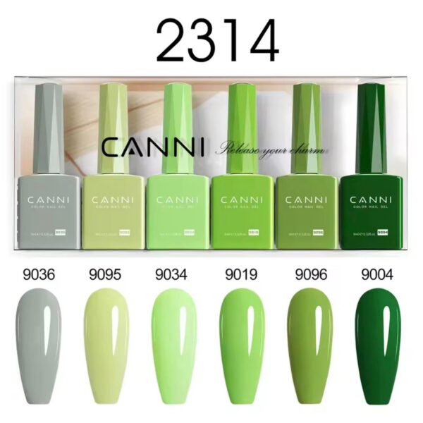 מארז 6 יחידות לק ג'ל קאני CANNI - סט 2314 ורודים ואדומים